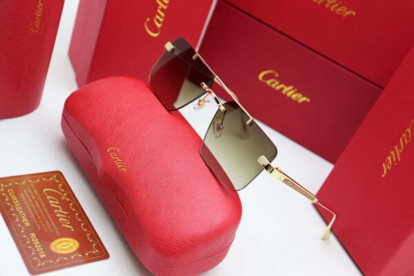WhatsApp Image 2025-11-17 at 20.39.53_a493cf1b Eloise Sunglasses
