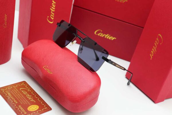 WhatsApp Image 2025-11-17 at 20.39.54_b9b982f5 Eloise Sunglasses