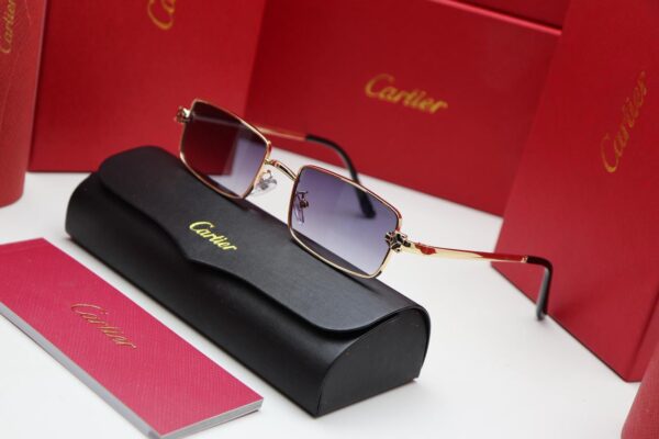 Corélis Sunglasses
