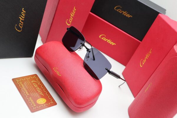 WhatsApp Image 2025-11-20 at 22.52.28_bf608b3e Novante Sunglasses